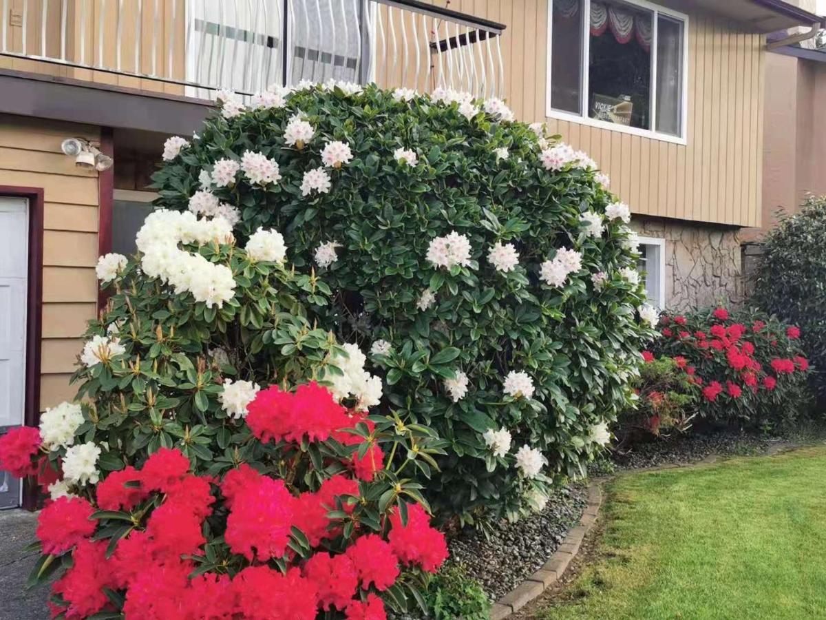 Richmond Vancouver Airport Comfy Home Exterior foto